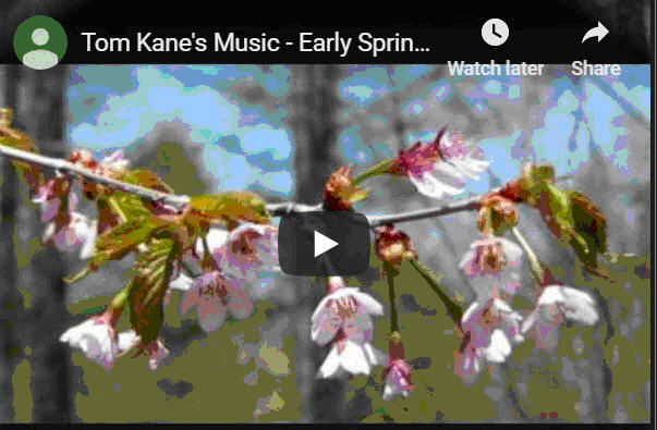 TRKaneAndKashiwagiMusicPhotos.jpg